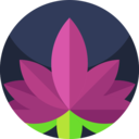 cultures,wellness,lotus flower,ethnic